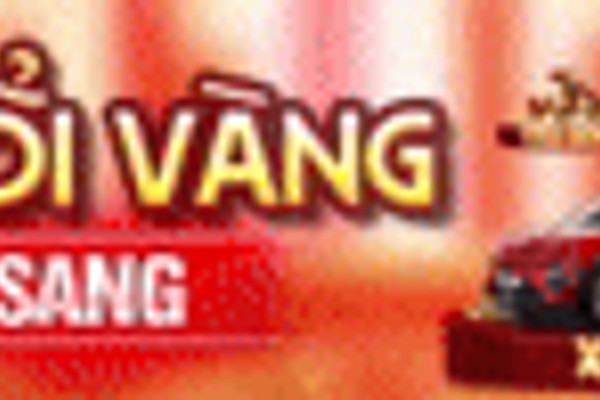 Ảnh đại diện người dùng Phạm Thu D