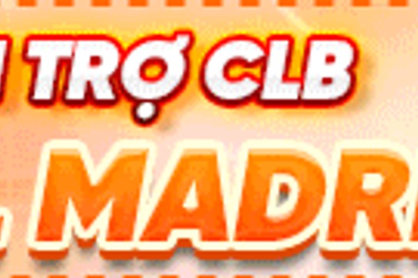 Ảnh đại diện người dùng Hồ Minh E